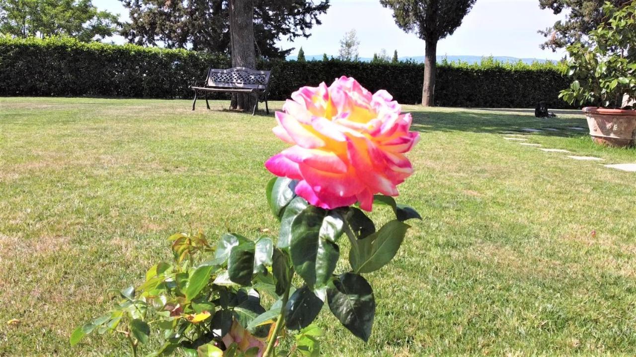 Tenuta Barbadoro Agriturismo Apartment Montespertoli Exteriér fotografie